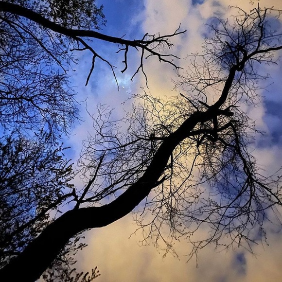 Meet your Posher! - Picture 1 of 1